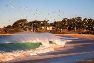 Carmel River Beach-5996